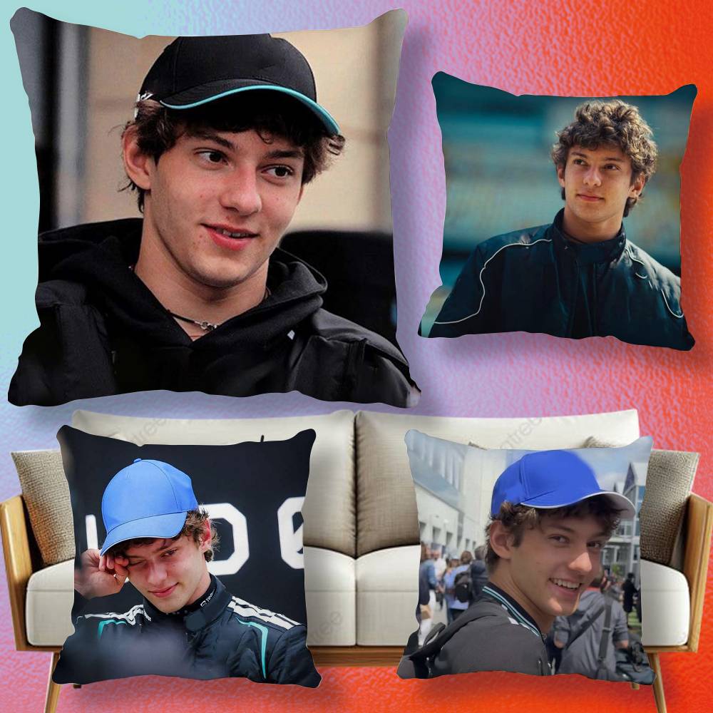 Sarung Bantal Hadiah Driver K- - Home Textiles Definition ulasan dan harga