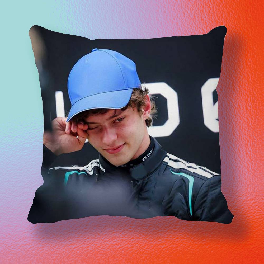 Sarung Bantal Hadiah Driver K- - Home Textiles Definition ulasan dan harga